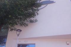 IMG_20220624_111215